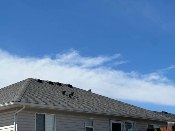 Best Roof Insulation Installation  in Oshkosh, WI